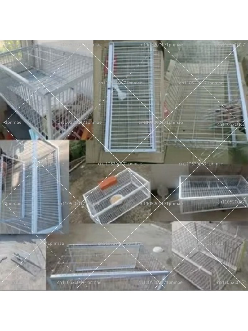 Piège à oiseaux multifonctionn - Urban Farming Urban Gardening avis et prix